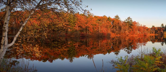 Autumn trees reflecting in a calm lake