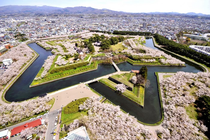 Goryokaku Park Fort Hakodate with Cherry Blossoms in Japan
