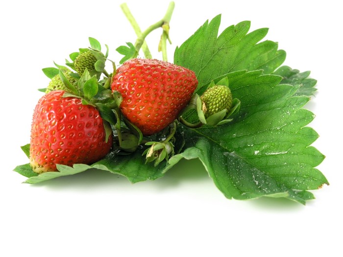 Strawberries and Leaves