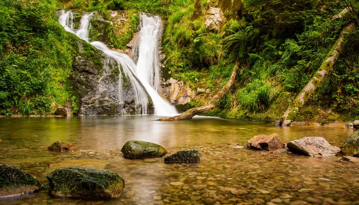 Waterfall cascading into a rocky stream surrounded by greenery