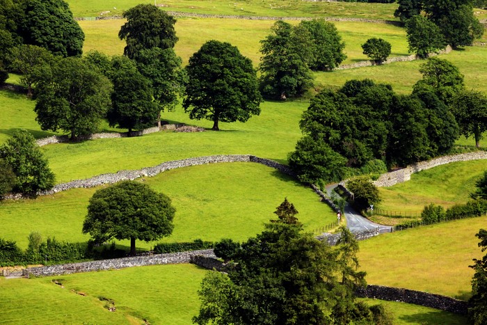 Rolling green hills with stone walls and trees in the UK