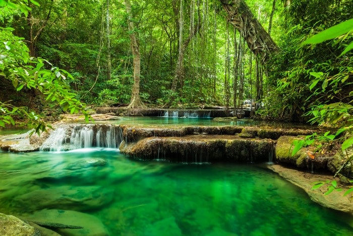 4K Jungle Waterfalls and Rivers