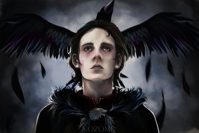 Bran Stark from Game of Thrones with Crows