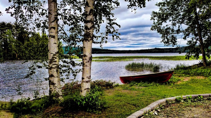 Red rowboat on a grassy shore by a lake with birch trees