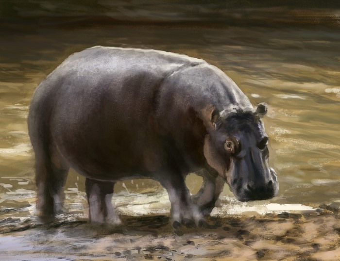 Painting of a Hippo in Water