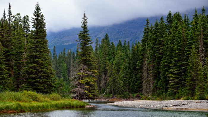 Forests and River with Mountains