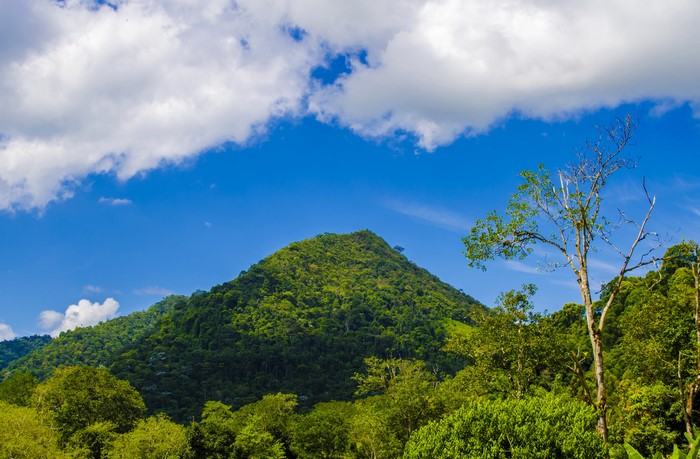 4K Bahia Brazil Mountains and Forests
