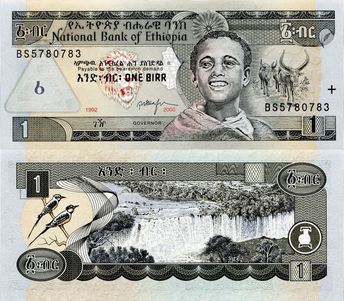 Ethiopian 1 Birr Banknote 4K