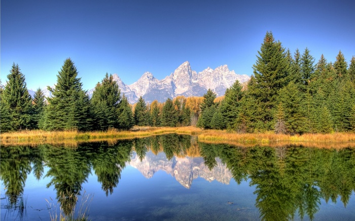 Reflection of mountains and trees in a lake