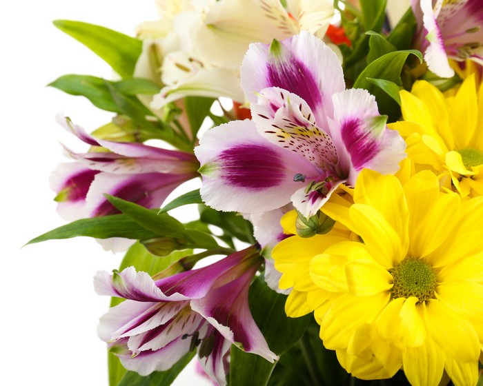 Chrysanthemums and Alstroemeria flowers