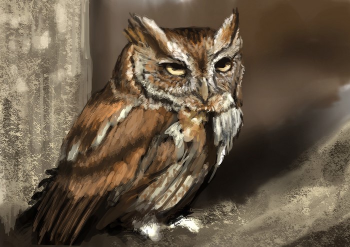 Painting of an owl