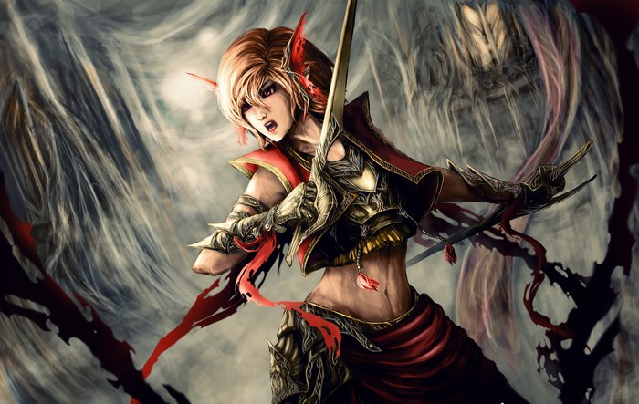 Elf warrior with swords and red cape