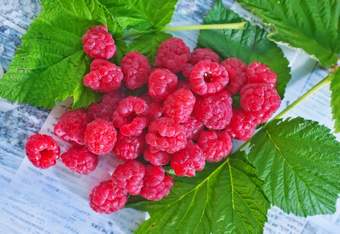 Raspberries with green leaves
