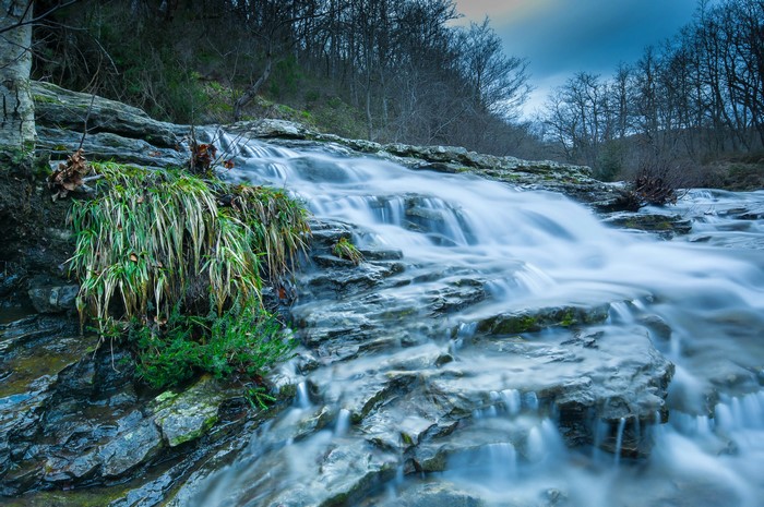 Water flowing over rocks in a forest