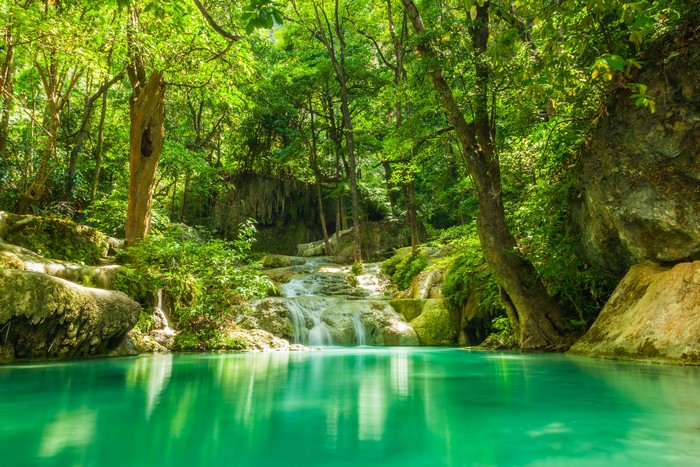 4K Jungle Waterfalls and Tropical Forest