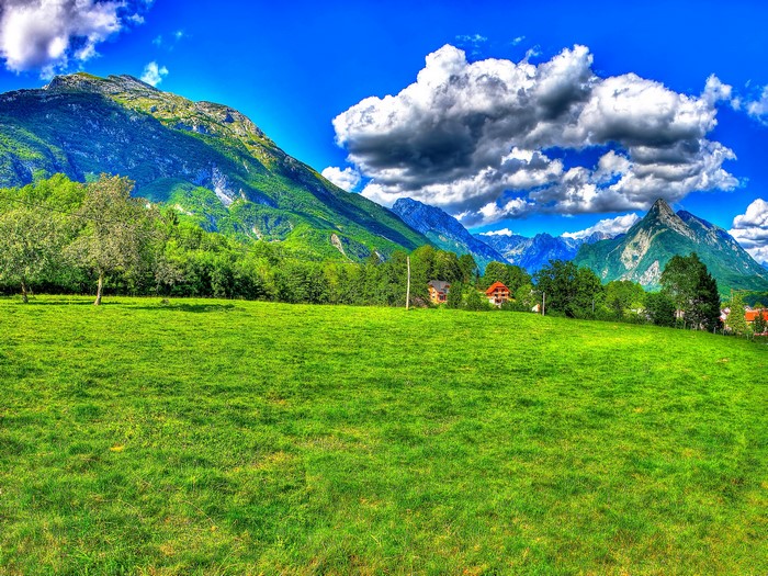 Green Meadow with Mountains and Clouds in Slovenia