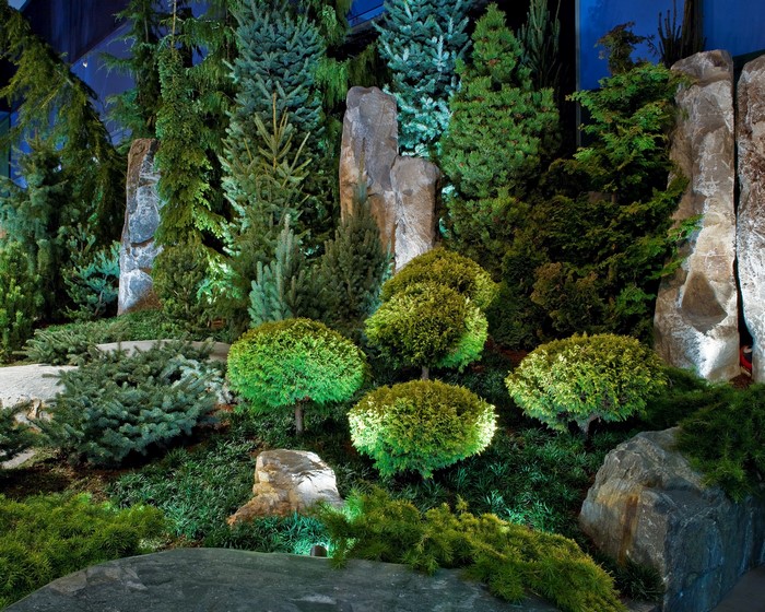 Landscaping with various trees and stones