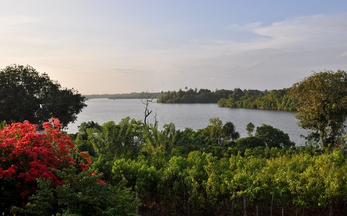 River landscape with trees and flowers