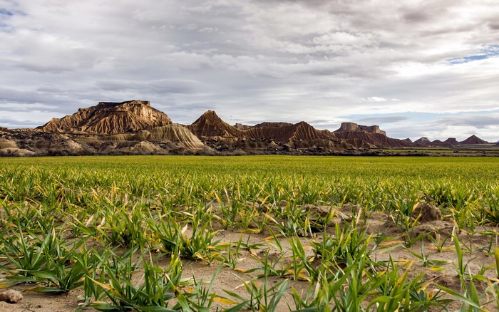 Green field in front of eroded mountains under cloudy sky