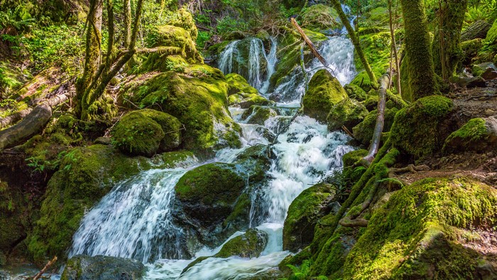 Mossy rocks and a cascading waterfall in a forest