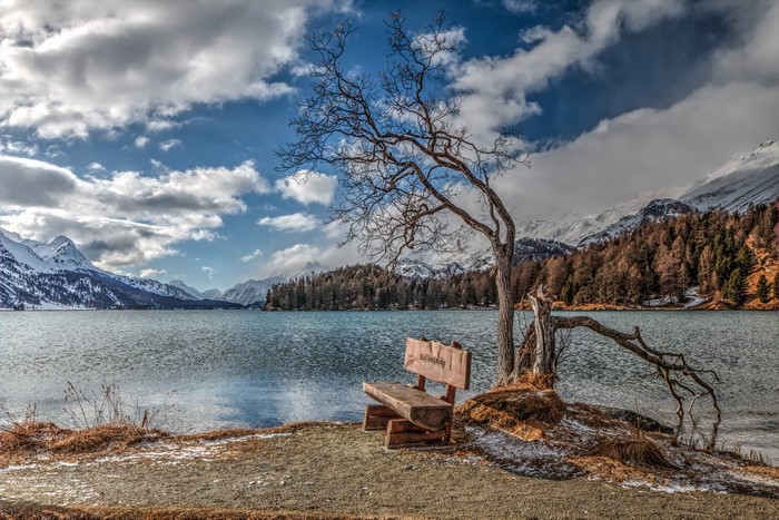 Bench by a Lake with Mountains and Trees