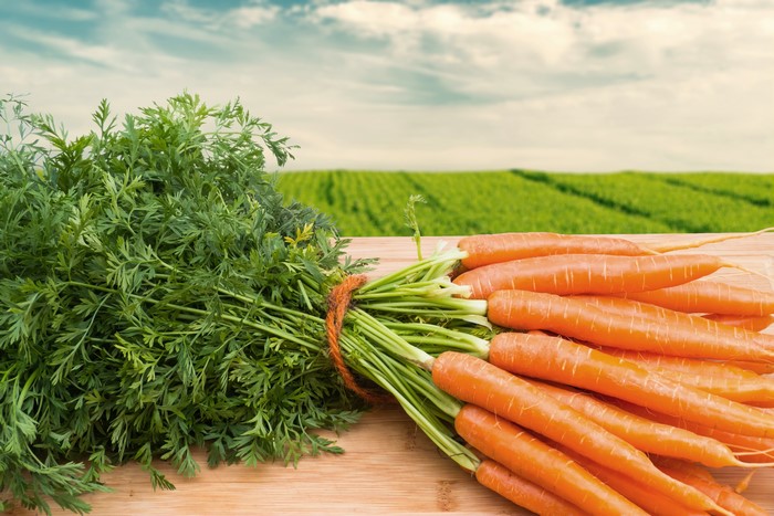 Carrots with green tops on a wooden table