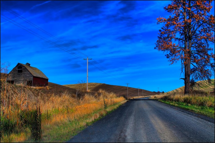 Rural road with barn and tree under blue sky