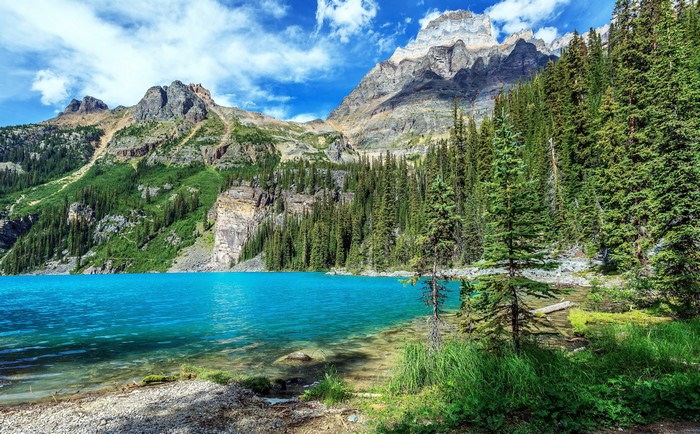 4K Yoho National Park Mountains and Lake in Canada