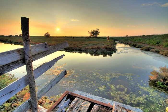 Sunset over a marsh with horses and a broken fence