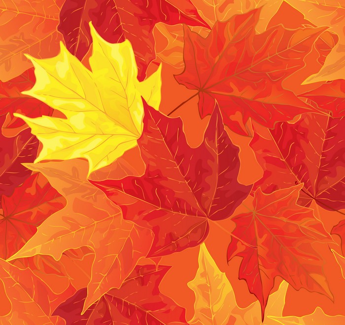 Seamless pattern of autumn maple leaves