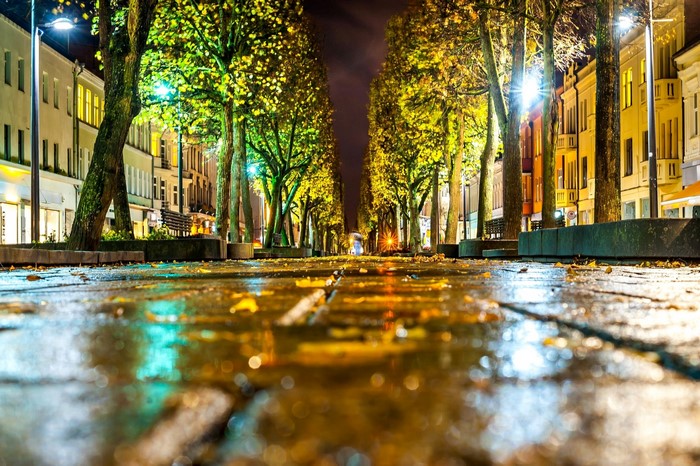 Night street with trees and wet pavement in Kaunas, Lithuania