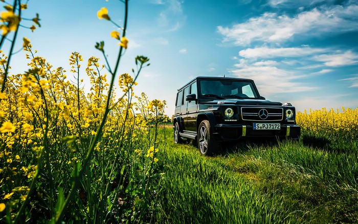 Black Mercedes-Benz G63 AMG in a field of yellow flowers
