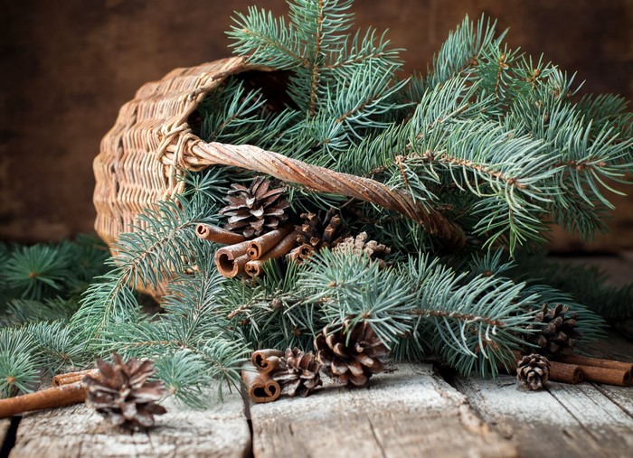 Wicker basket with spruce branches, pine cones, and cinnamon sticks