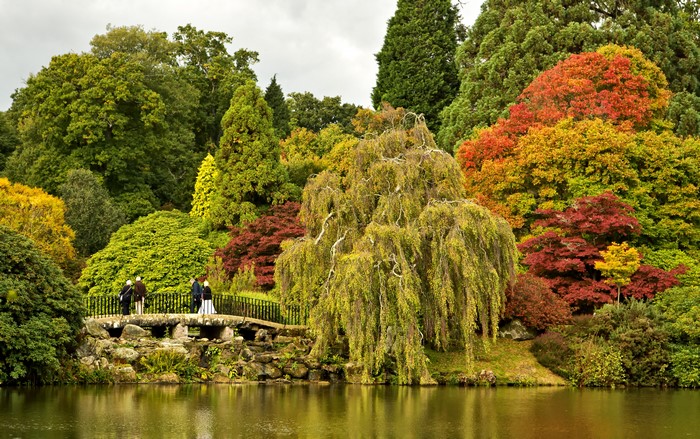 Sheffield Park Garden, United Kingdom, Autumn Trees and Pond