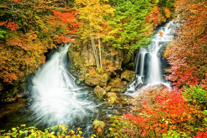 4K Autumn Waterfalls with Stones