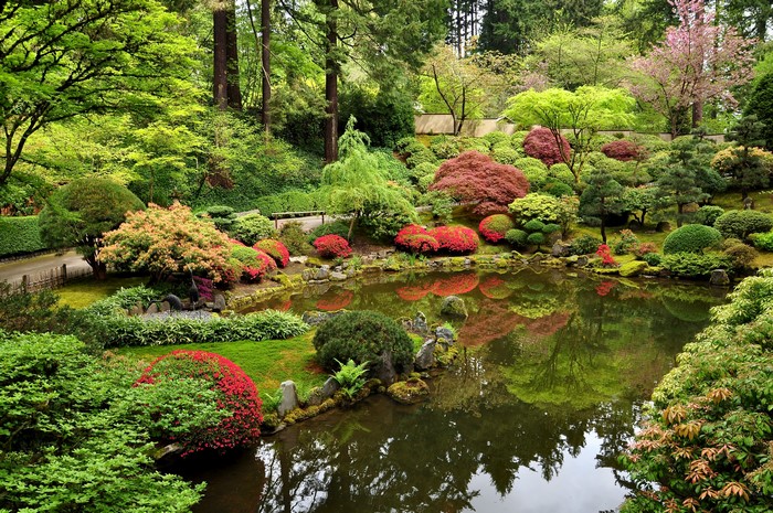 Japanese Garden Portland Oregon Pond Shrubs Trees