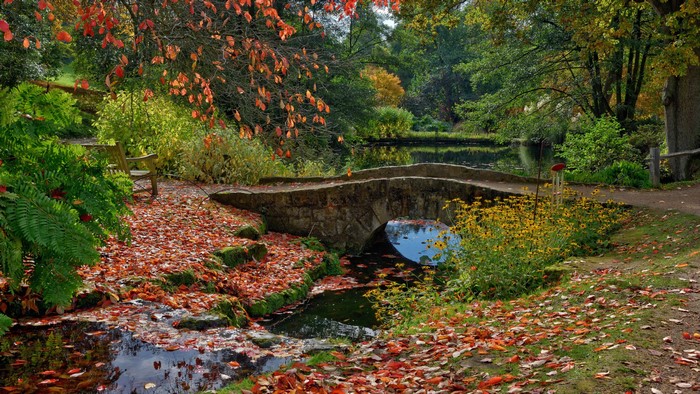 Autumn park with stone bridge and pond in Ardingly, England