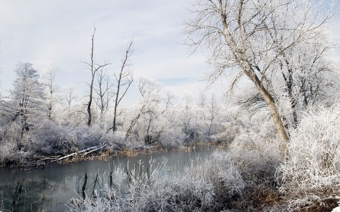 Winter river with frosted trees and branches