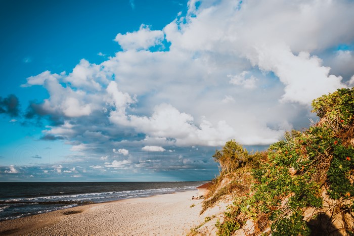 Baltic Sea coast with beach and dunes
