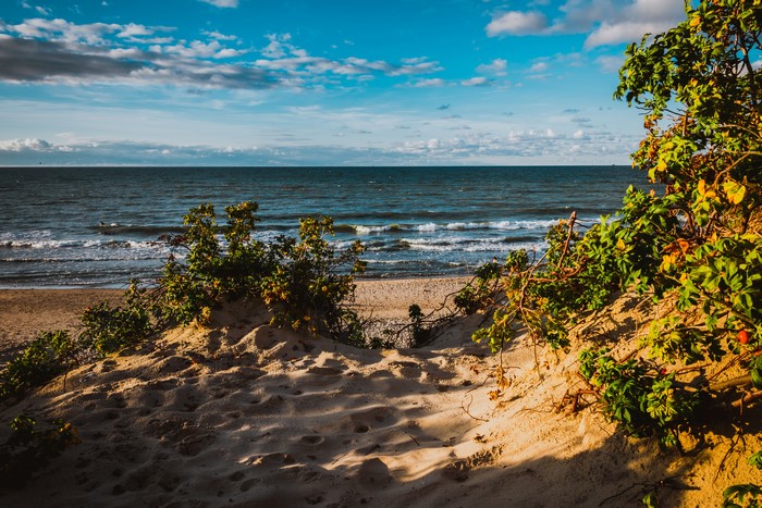Beach with Sand Dunes and the Baltic Sea