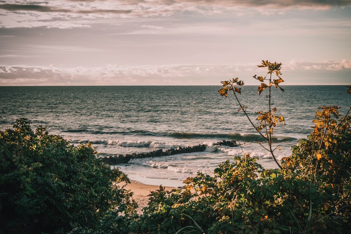 Baltic Sea coast with wooden breakwaters and autumn foliage