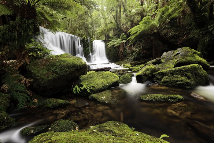Waterfall in a mossy forest with rocks