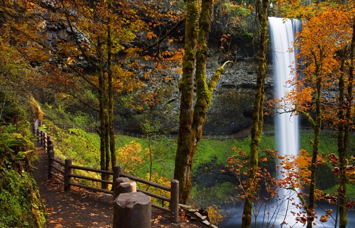 Silver Falls State Park Oregon Autumn Waterfall Trail