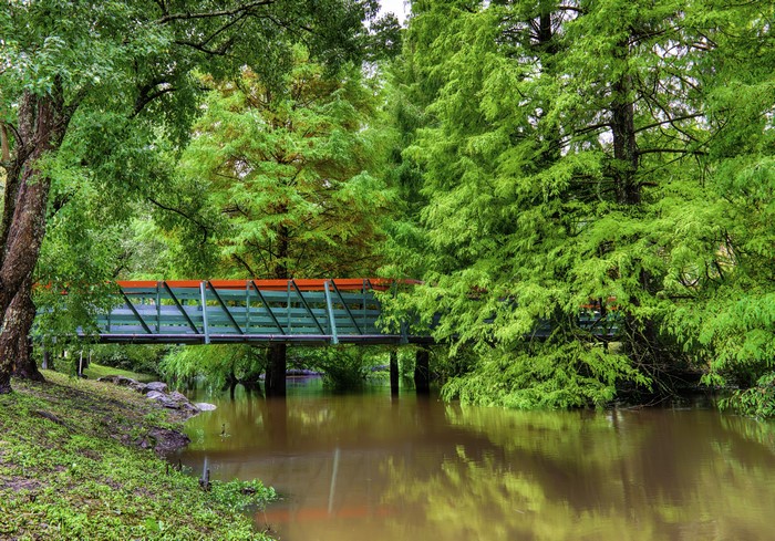 Bridge over a flooded river surrounded by trees