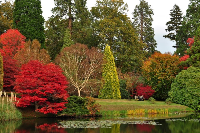 Sheffield Park Garden Pond in Autumn, United Kingdom