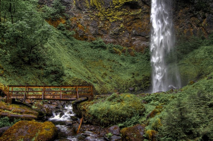 Elowah Falls and wooden bridge in Columbia River Gorge, Oregon