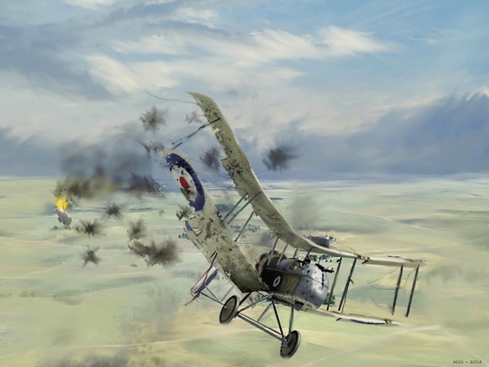 Airplane Painting Art with Fatal Damage