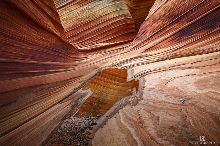 The Wave sandstone formation in Arizona