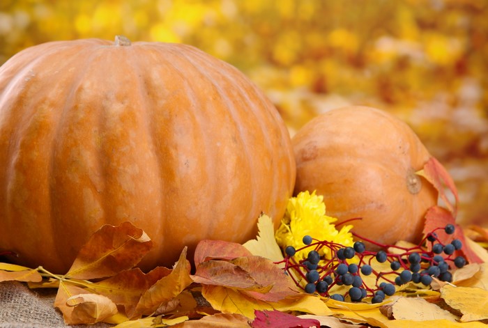 Pumpkins and Autumn Leaves