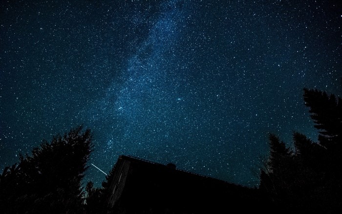 Milky Way and Stars Over Silhouetted Trees and Building